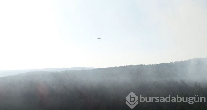 Bursa'da büyük yangın! 