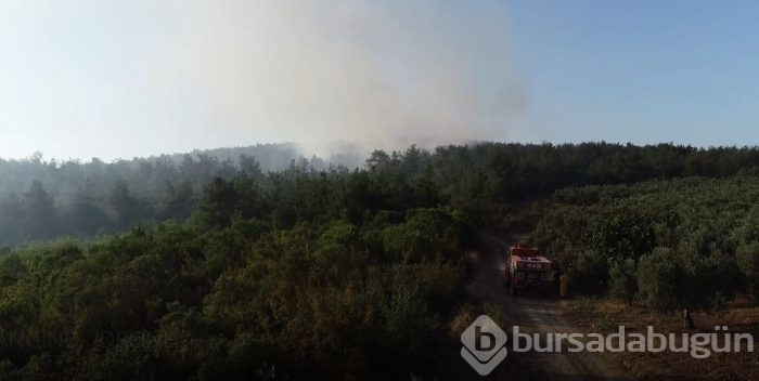 Bursa'da büyük yangın! 