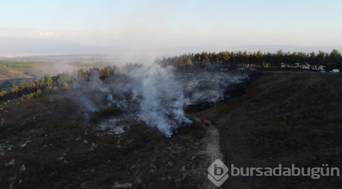 Bursa'da büyük yangın! 