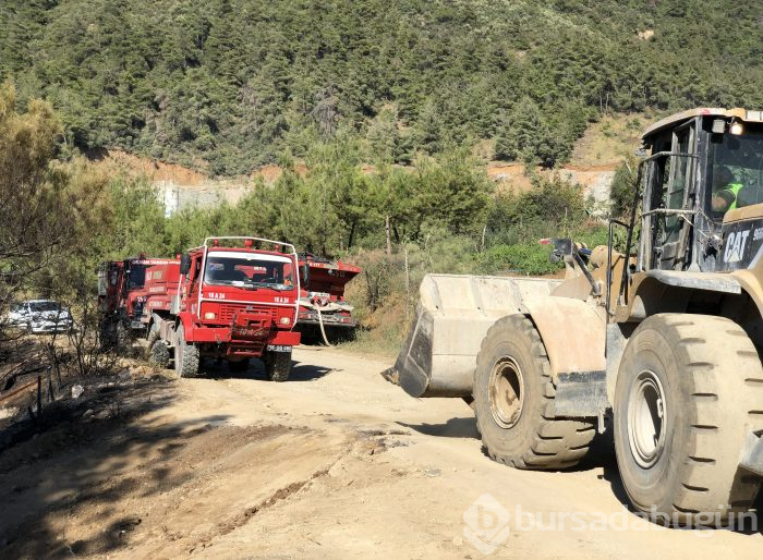 Bursa'nın ciğerleri yine yandı! Bu kez Gölbaşı...	