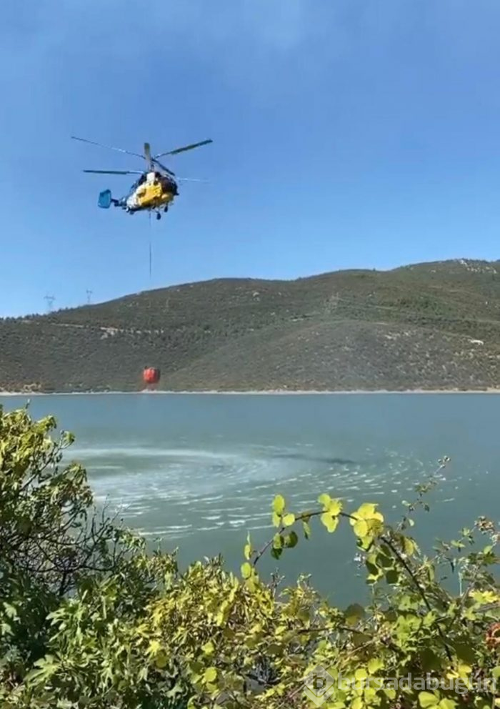 Bursa'nın ciğerleri yine yandı! Bu kez Gölbaşı...	