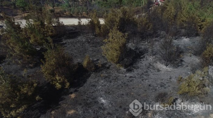 Bursa'nın ciğerleri yine yandı! Bu kez Gölbaşı...	