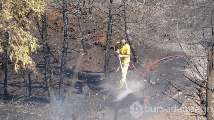 Bursa'nın ciğerleri yine yandı! Bu kez Gölbaşı...	