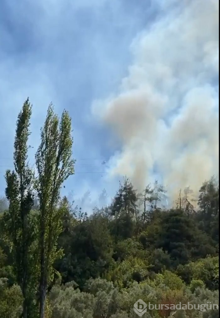 Bursa'nın ciğerleri yine yandı! Bu kez Gölbaşı...	