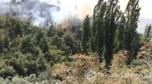 Bursa'nın ciğerleri yine yandı! Bu kez Gölbaşı...	