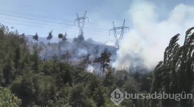 Bursa'nın ciğerleri yine yandı! Bu kez Gölbaşı...	