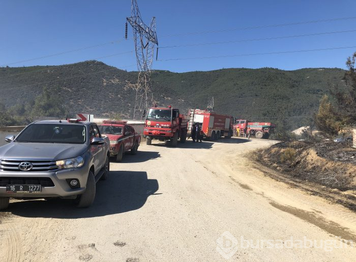 Bursa'nın ciğerleri yine yandı! Bu kez Gölbaşı...	