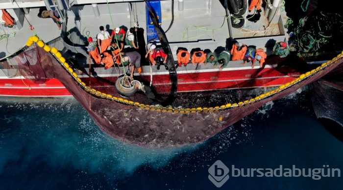 Bursa'da balıkçıların zorlu hayatı görüntülendi
