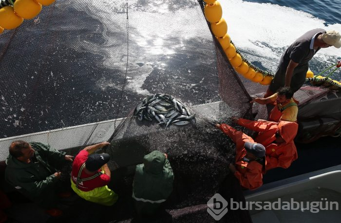 Bursa'da balıkçıların zorlu hayatı görüntülendi