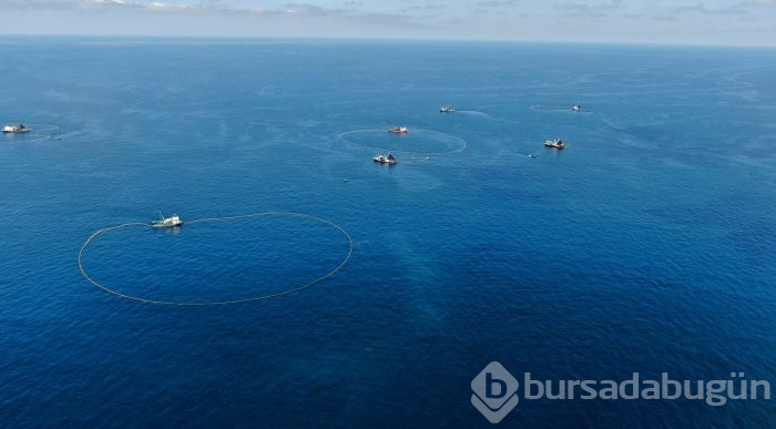 Bursa'da balıkçıların zorlu hayatı görüntülendi