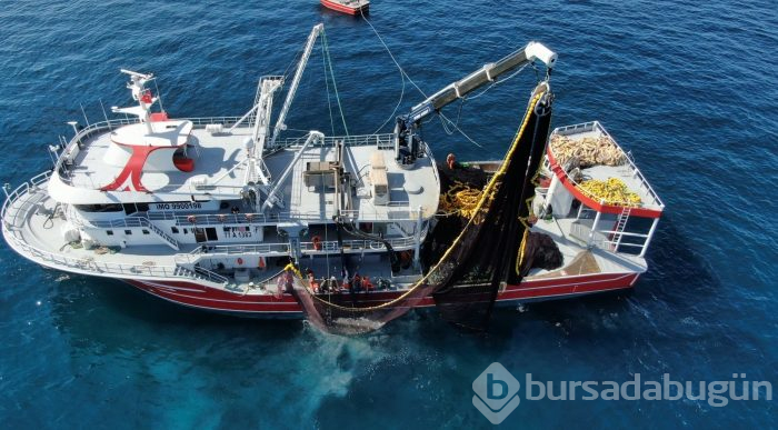 Bursa'da balıkçıların zorlu hayatı görüntülendi