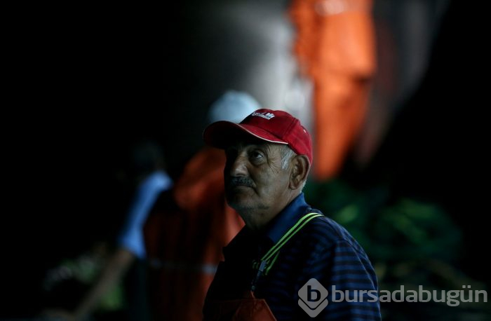 Bursa'da balıkçıların zorlu hayatı görüntülendi