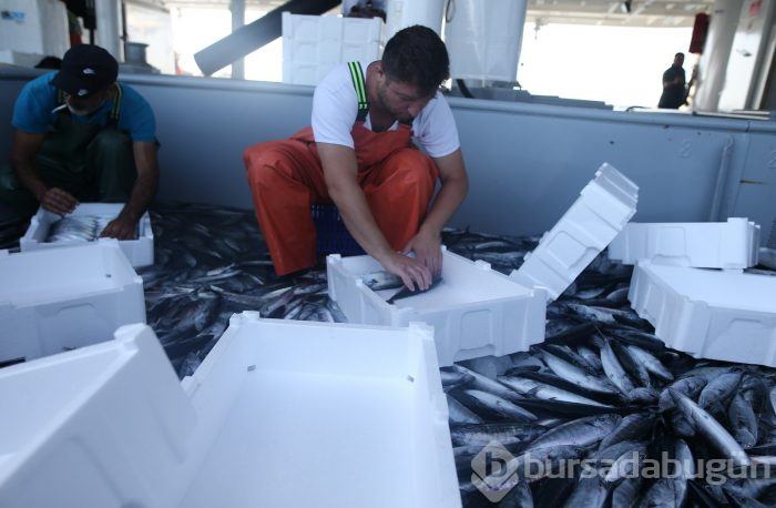 Bursa'da balıkçıların zorlu hayatı görüntülendi