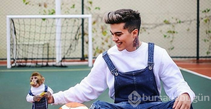 Sosyal medya fenomeninin maymunu 'Koko'ya el konuldu