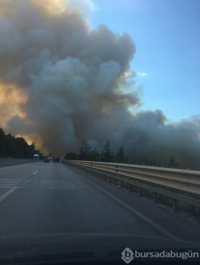 Bursa Gölbaşı mevkinde orman yangını