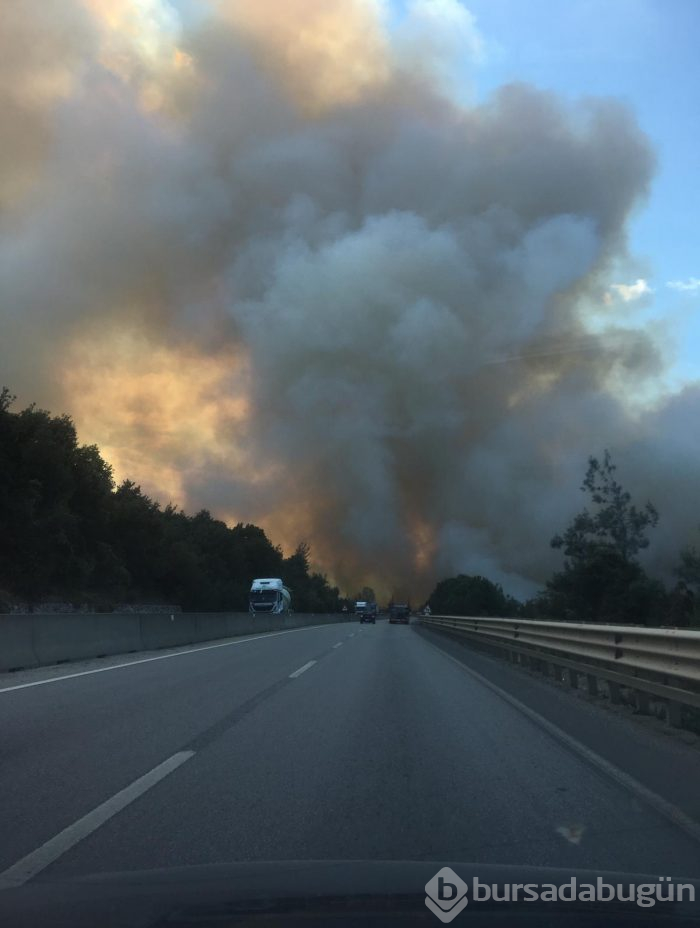 Bursa Gölbaşı mevkinde orman yangını