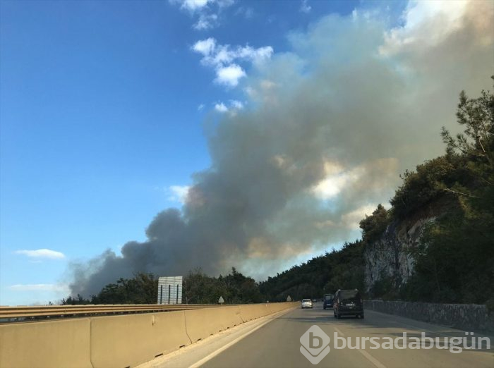 Bursa Gölbaşı mevkinde orman yangını