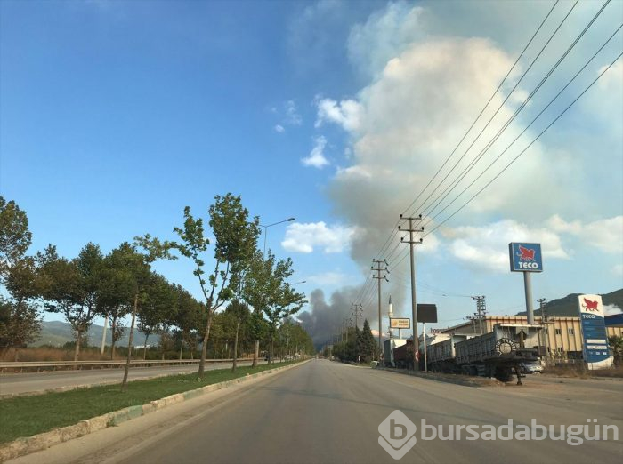 Bursa Gölbaşı mevkinde orman yangını