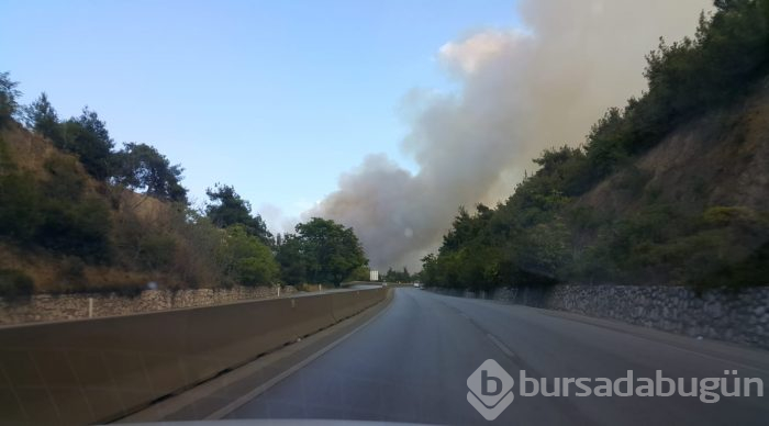 Bursa Gölbaşı mevkinde orman yangını