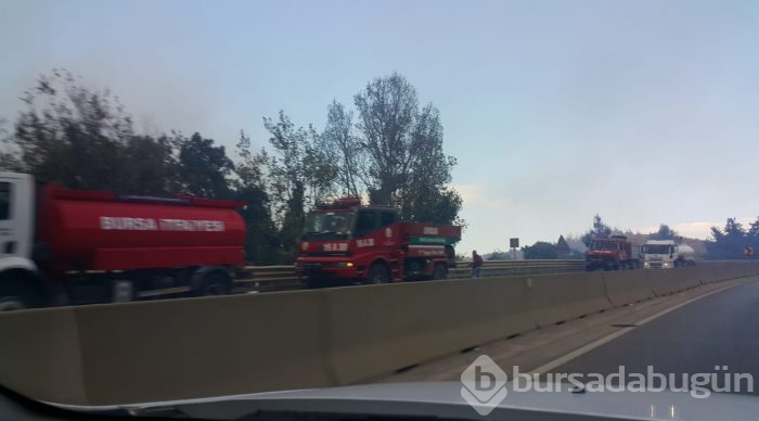 Bursa Gölbaşı mevkinde orman yangını