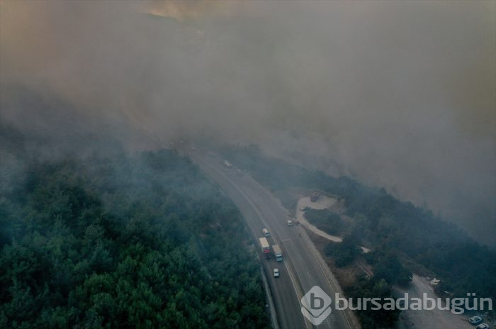 Bursa Gölbaşı mevkinde orman yangını