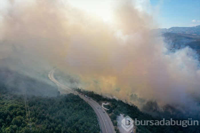 Bursa Gölbaşı mevkinde orman yangını