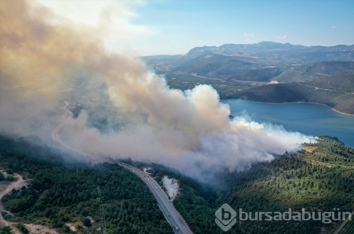 Bursa Gölbaşı mevkinde orman yangını