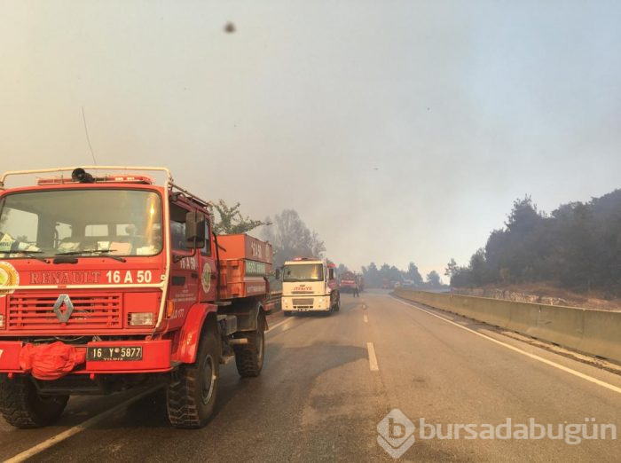 Bursa Gölbaşı mevkinde orman yangını