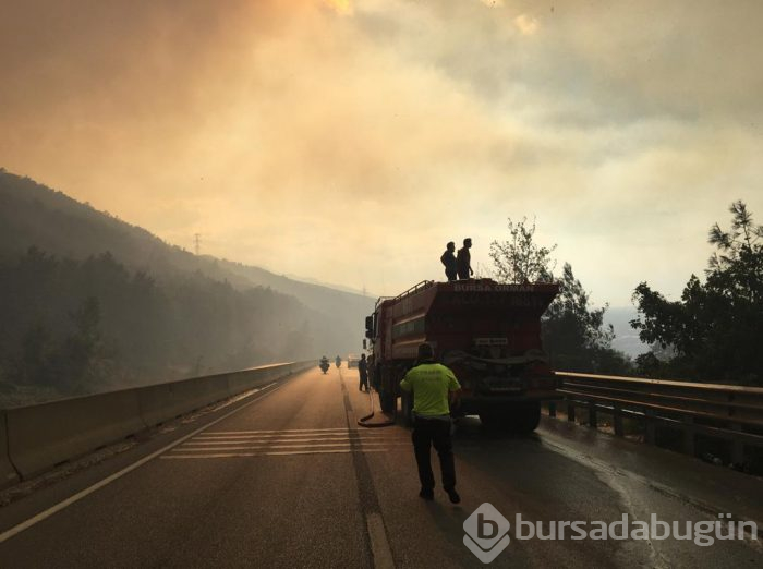 Bursa Gölbaşı mevkinde orman yangını