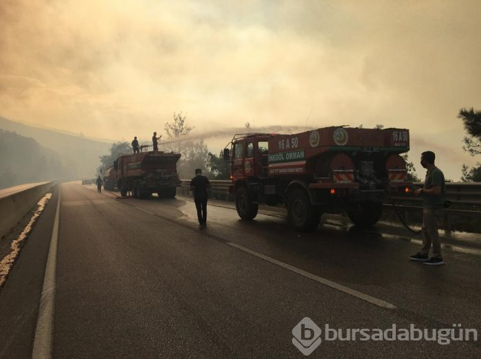Bursa Gölbaşı mevkinde orman yangını
