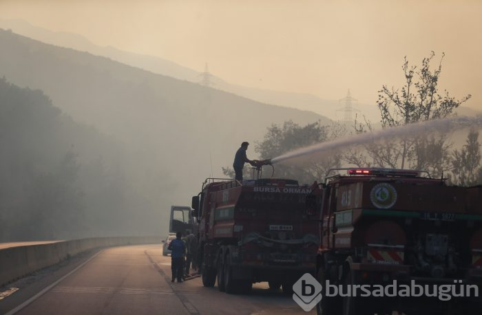 Bursa Gölbaşı mevkinde orman yangını