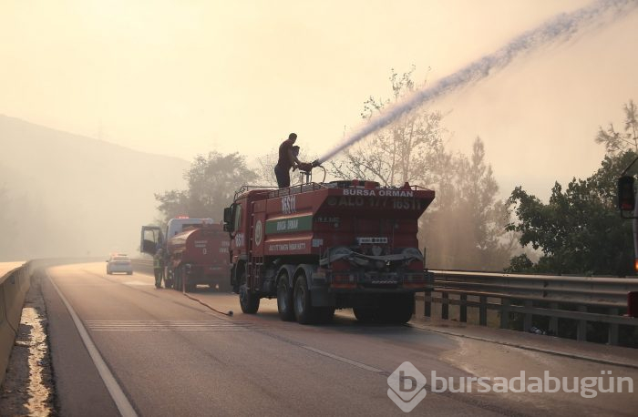 Bursa Gölbaşı mevkinde orman yangını