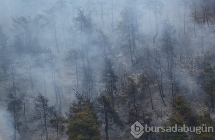 Bursa Gölbaşı mevkinde orman yangını
