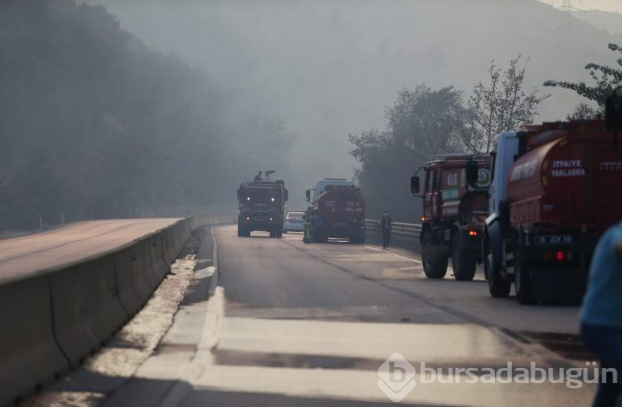 Bursa Gölbaşı mevkinde orman yangını