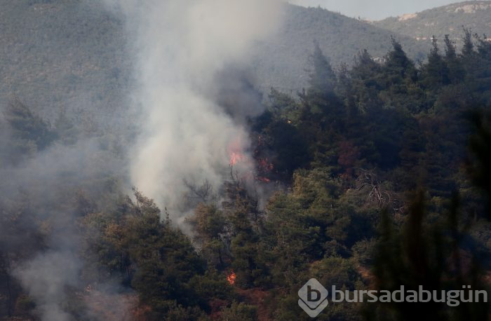 Bursa Gölbaşı mevkinde orman yangını