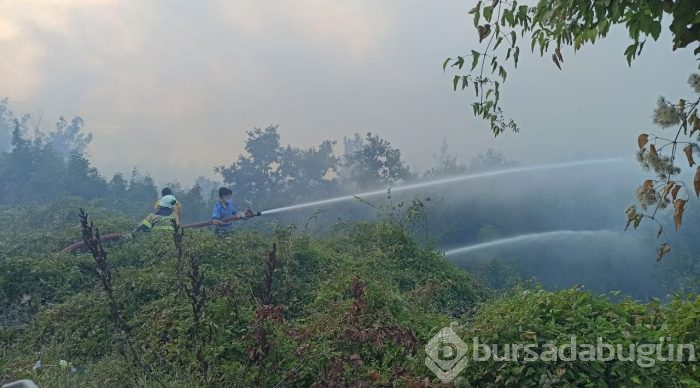 Bursa Gölbaşı mevkinde orman yangını