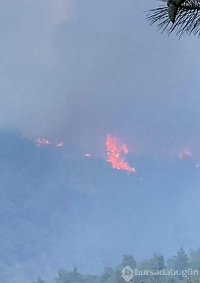 Bursa Gölbaşı mevkinde orman yangını