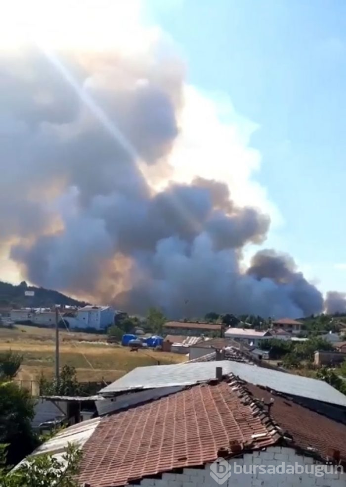 Bursa Gölbaşı mevkinde orman yangını