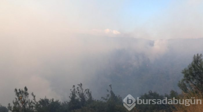 Bursa Gölbaşı mevkinde orman yangını