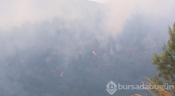 Bursa Gölbaşı mevkinde orman yangını