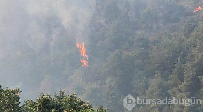 Bursa Gölbaşı mevkinde orman yangını