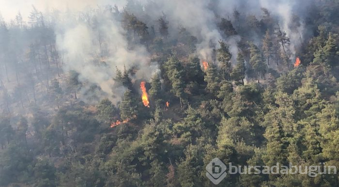 Bursa Gölbaşı mevkinde orman yangını
