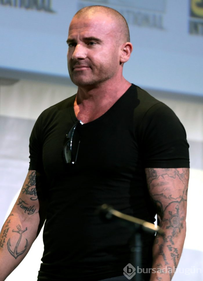 AnnaLynne McCord-Dominic Purcell aşka geldi
