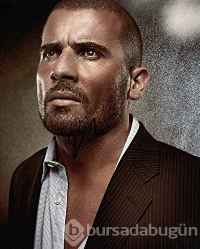AnnaLynne McCord-Dominic Purcell aşka geldi
