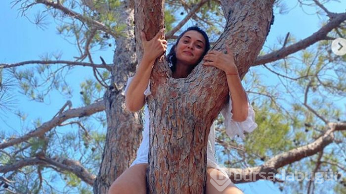 Aslıhan Gürbüz: O ağaç yandı