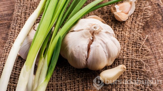 Sadece 21 günde vücudu temizleyen soğan sarımsak kürü
