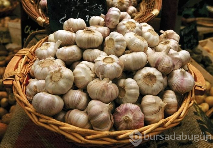 Sadece 21 günde vücudu temizleyen soğan sarımsak kürü