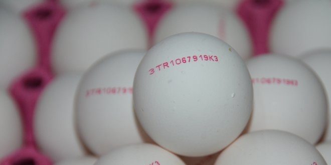 Yumurta alırken dikkat! Yumurtaların üzerindeki sayılar ne anlama geliyor?