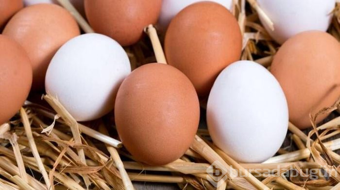 Yumurta alırken dikkat! Yumurtaların üzerindeki sayılar ne anlama geliyor?