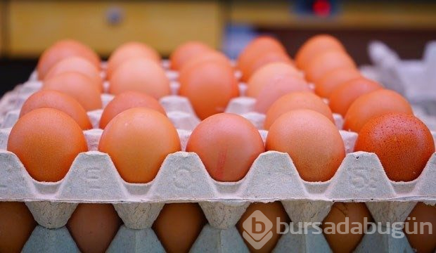 Yumurta alırken dikkat! Yumurtaların üzerindeki sayılar ne anlama geliyor?